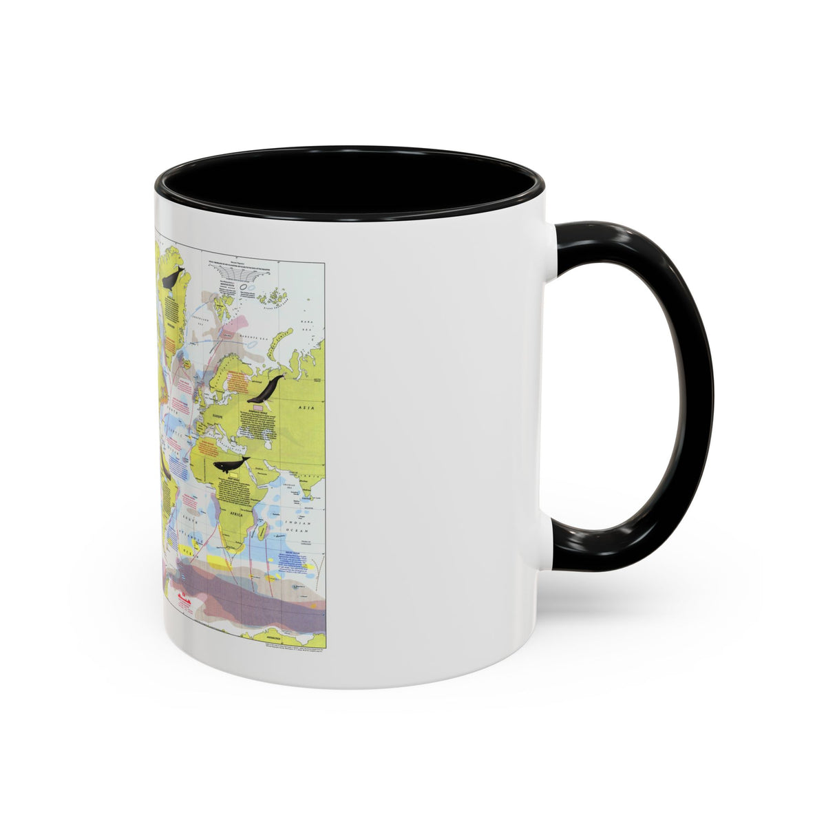 Great Whales, Migration and Range (1976) (Map) Accent Coffee Mug