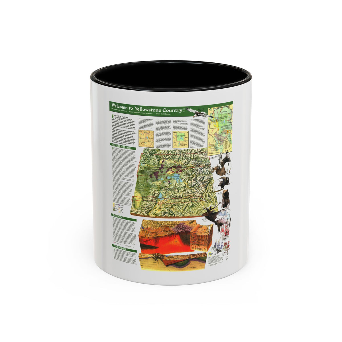 USA - Yellowstone and Grand Teton 2 (1989) (Map) Accent Coffee Mug