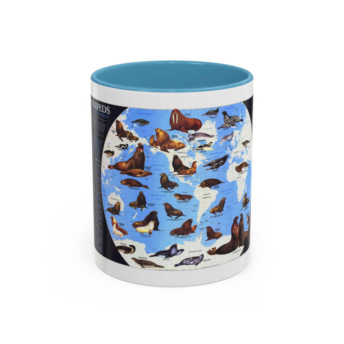 Pinnipeds Around the World (1987) (Map) Accent Coffee Mug