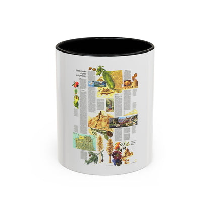 USA - California and Nevada 2 (1974) (Map) Accent Coffee Mug