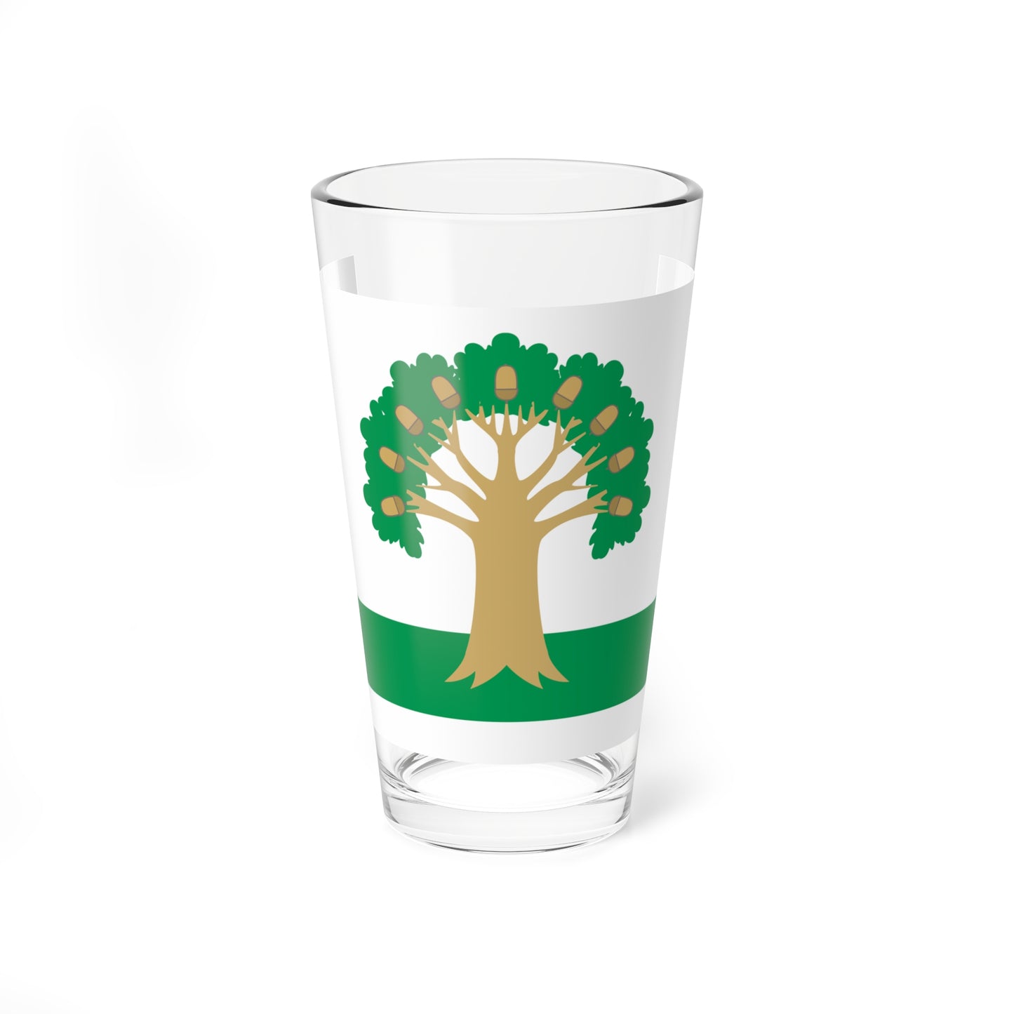 Flag of Arkhangelsky rayon (Russia) Pint Glass 16oz
