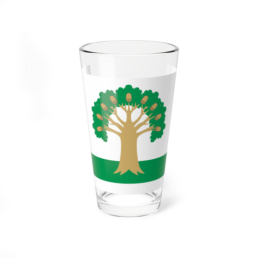 Flag of Arkhangelsky rayon (Russia) Pint Glass 16oz