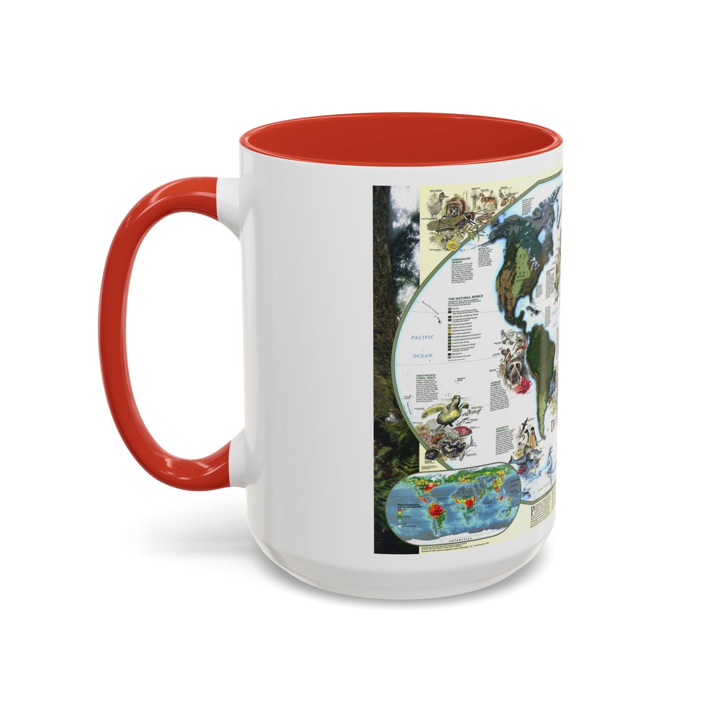 World Map - Diversity of Life (1999) (Map) Accent Coffee Mug