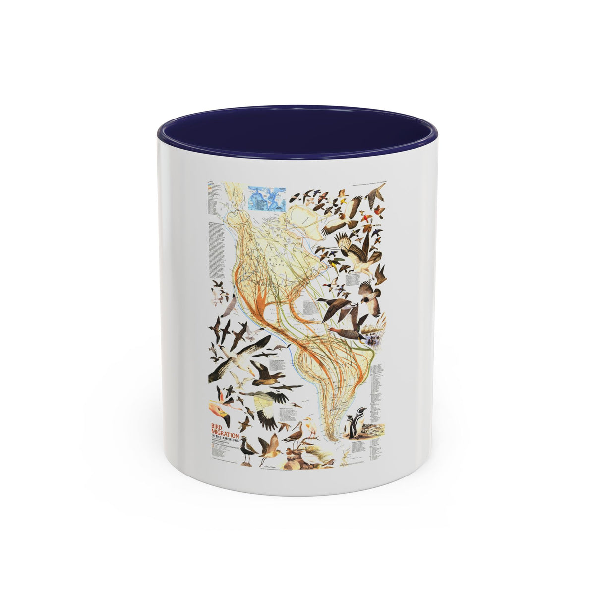 America - Bird Migration (1969) (Map) Accent Coffee Mug