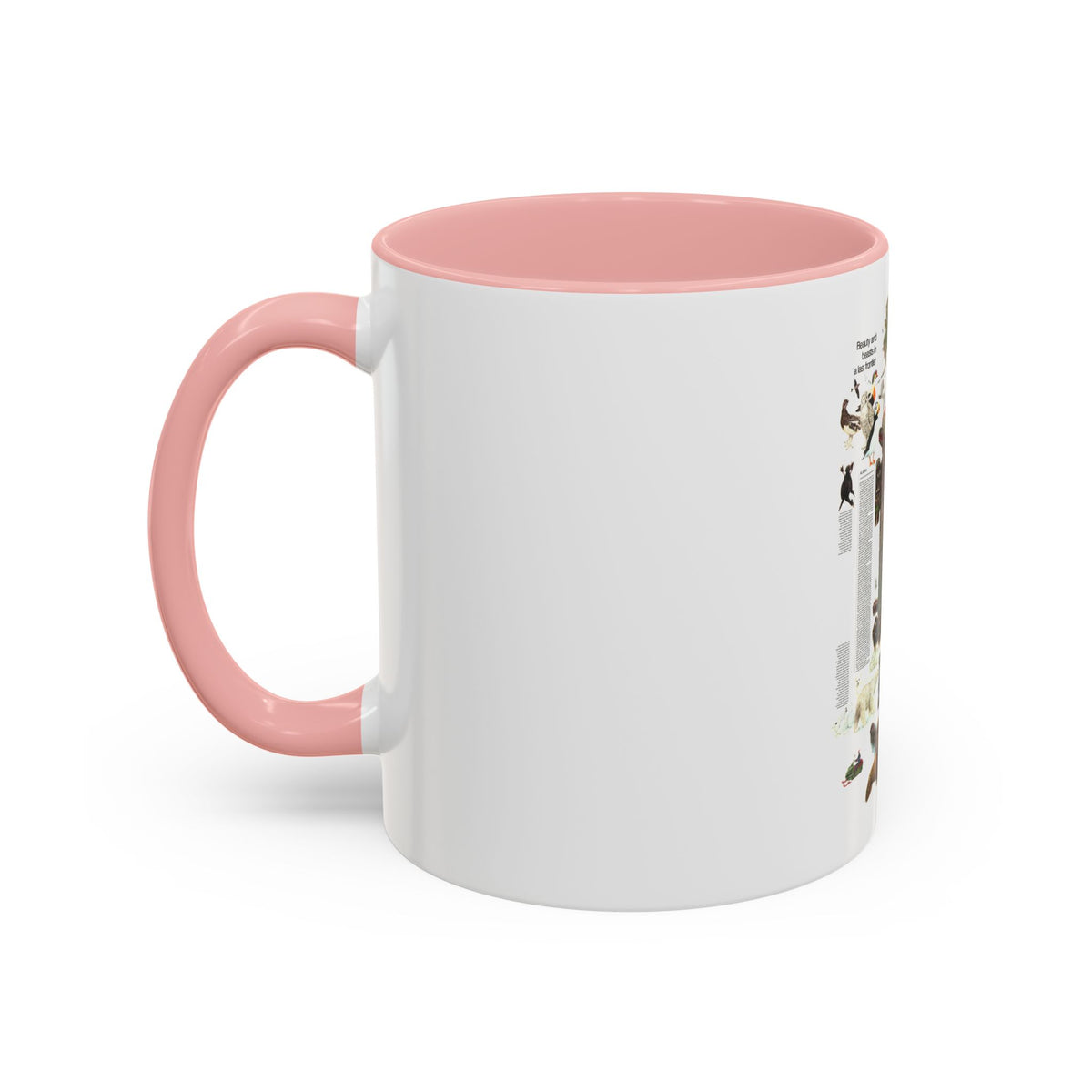 USA - Alaska, Beauty and Beasts (1975) (Map) Accent Coffee Mug