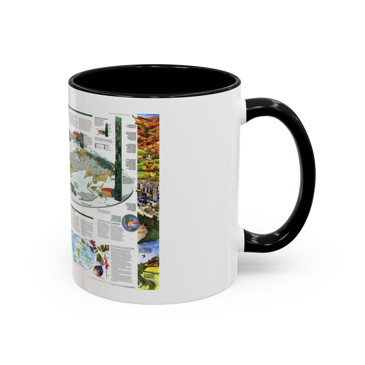 World Map - Biodiversity (1999) (Map) Accent Coffee Mug