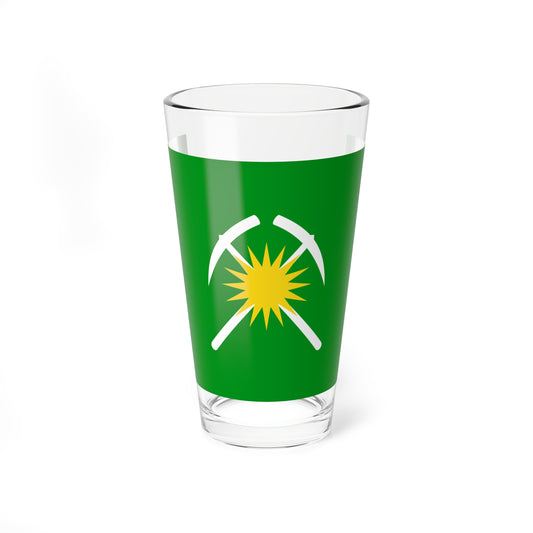 Flag of Raychikhinsk Amur oblast (Russia) Pint Glass 16oz