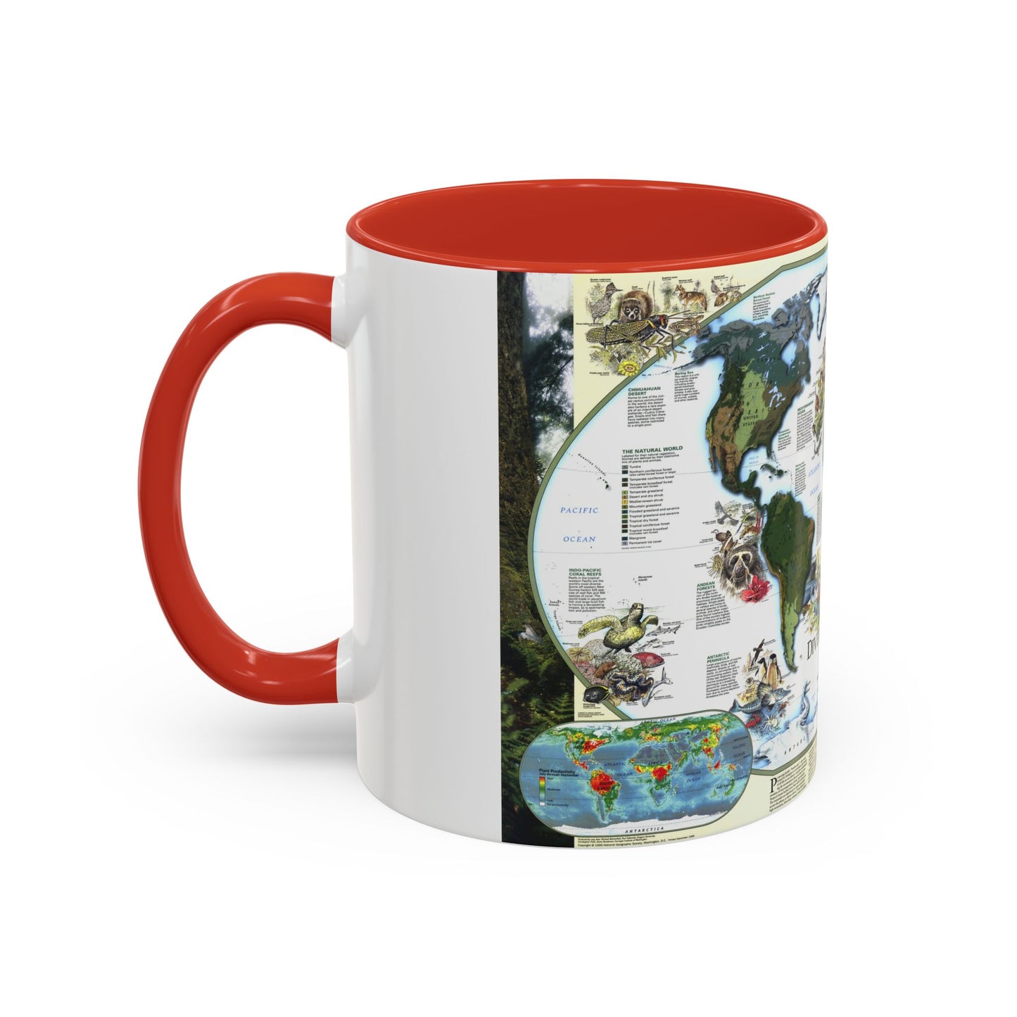 World Map - Diversity of Life (1999) (Map) Accent Coffee Mug