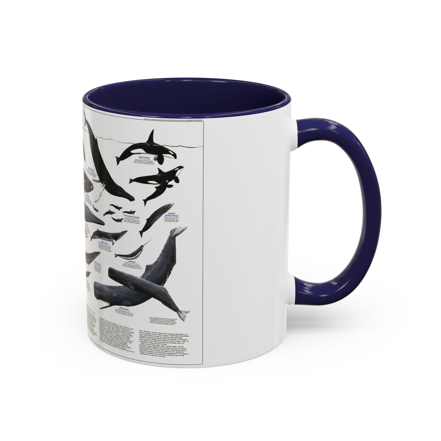 Great Whales of the World (1976) (Map) Accent Coffee Mug