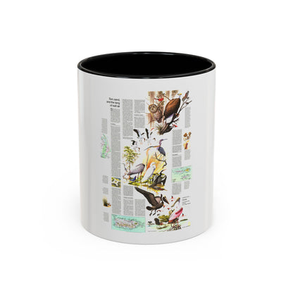 USA - Florida 2 (1973) (Map) Accent Coffee Mug