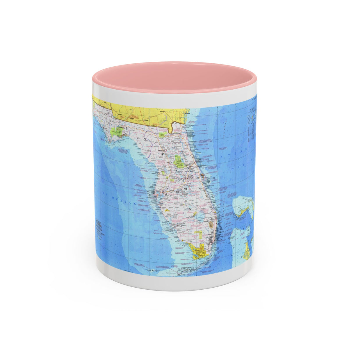 USA - Florida 1 (1973) (Map) Accent Coffee Mug
