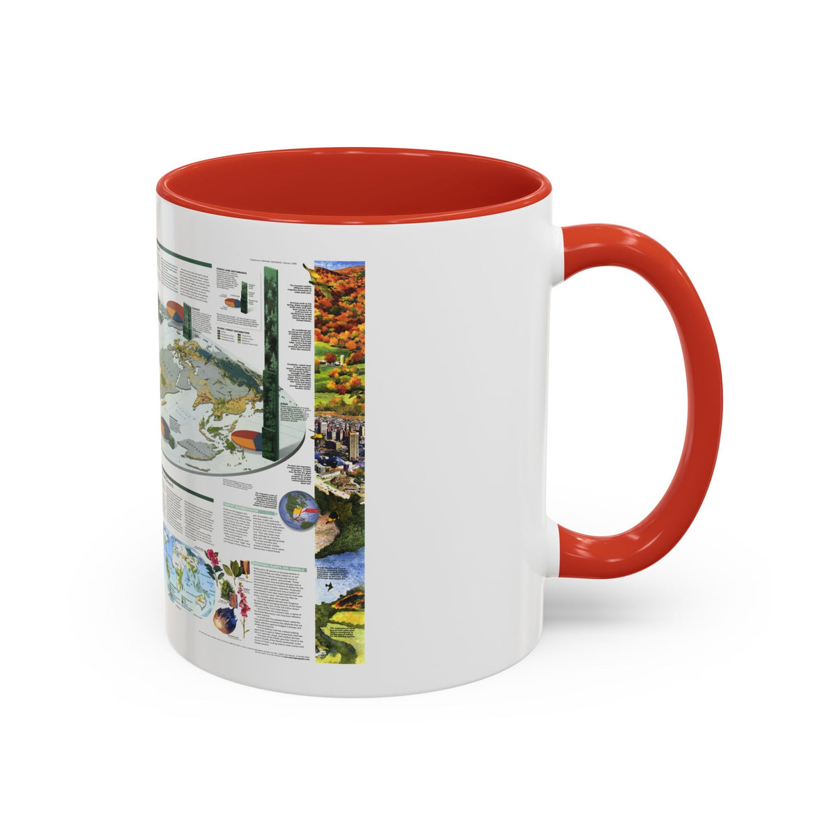 World Map - Biodiversity (1999) (Map) Accent Coffee Mug