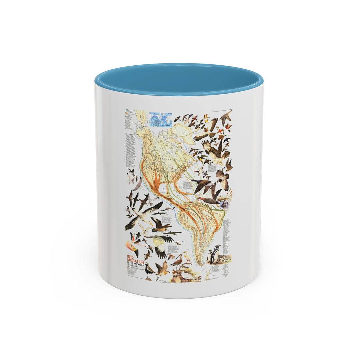 America - Bird Migration (1969) (Map) Accent Coffee Mug