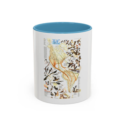 America - Bird Migration (1969) (Map) Accent Coffee Mug