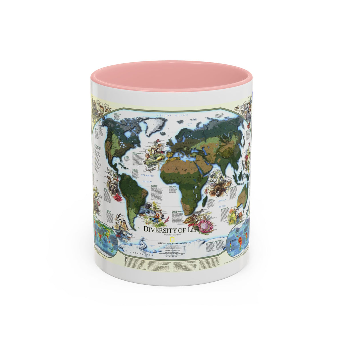 World Map - Diversity of Life (1999) (Map) Accent Coffee Mug