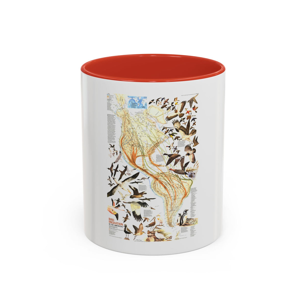 America - Bird Migration (1969) (Map) Accent Coffee Mug