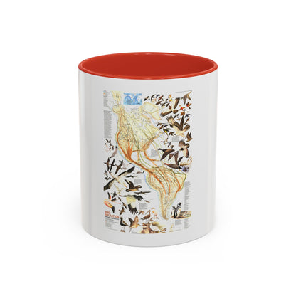 America - Bird Migration (1969) (Map) Accent Coffee Mug