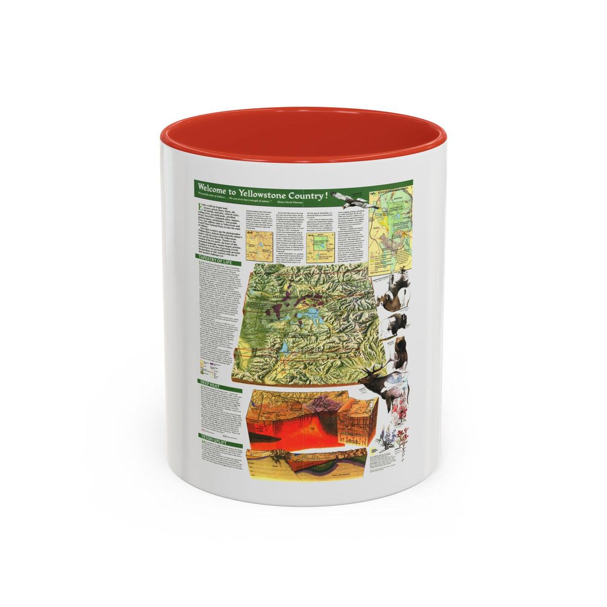 USA - Yellowstone and Grand Teton 2 (1989) (Map) Accent Coffee Mug