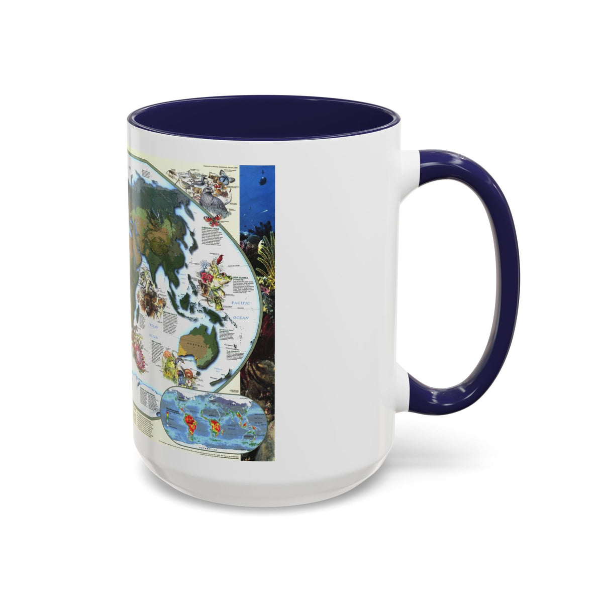 World Map - Diversity of Life (1999) (Map) Accent Coffee Mug