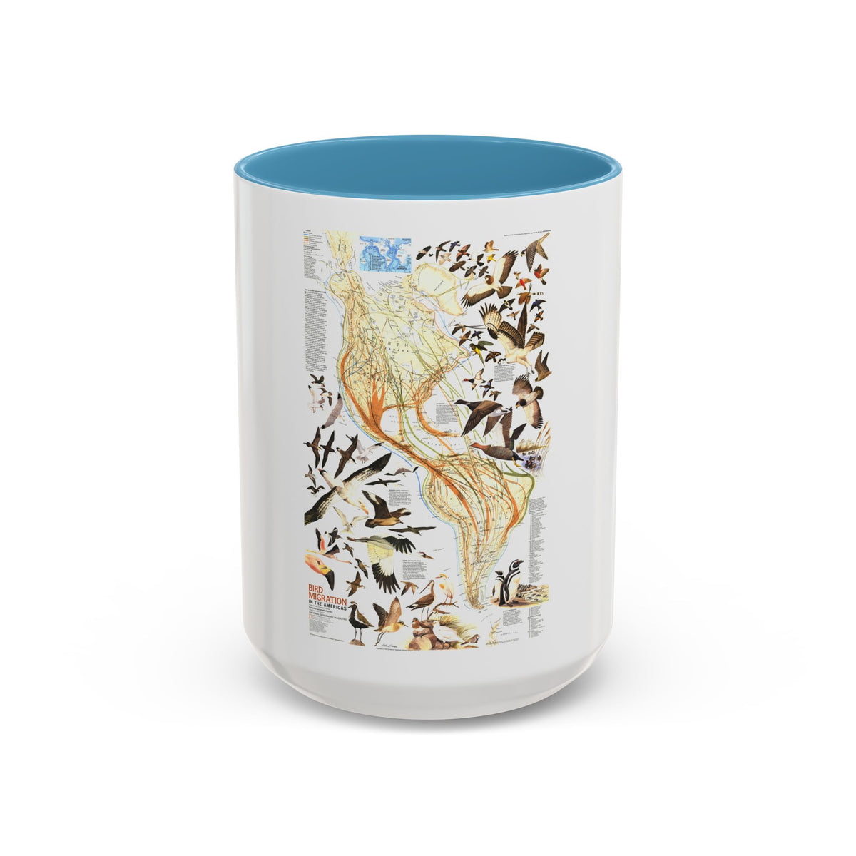 America - Bird Migration (1969) (Map) Accent Coffee Mug