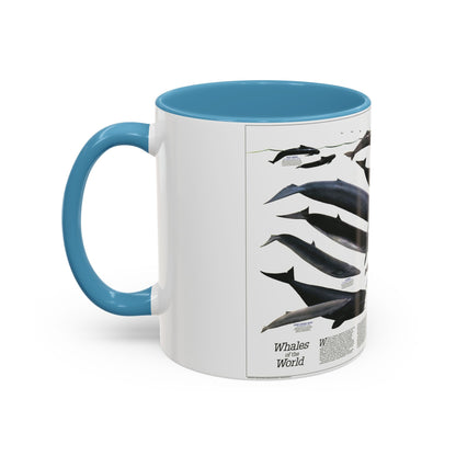 Great Whales of the World (1976) (Map) Accent Coffee Mug