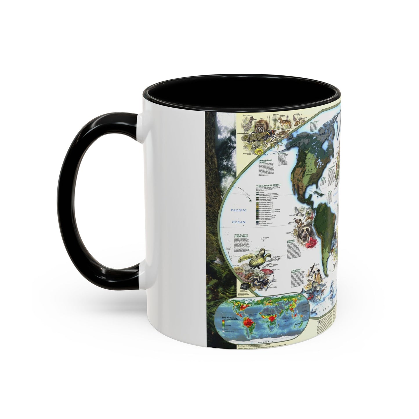 Carte du monde - Diversité de la vie (1999) (carte) Tasse à café décorative