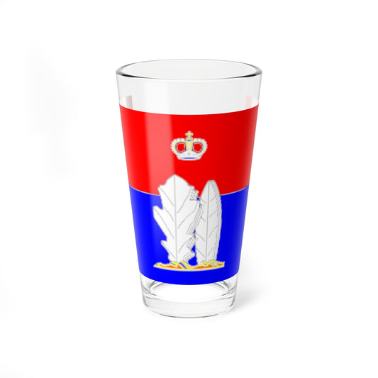 Flag of Vsevolozhsk (Russia) Pint Glass 16oz