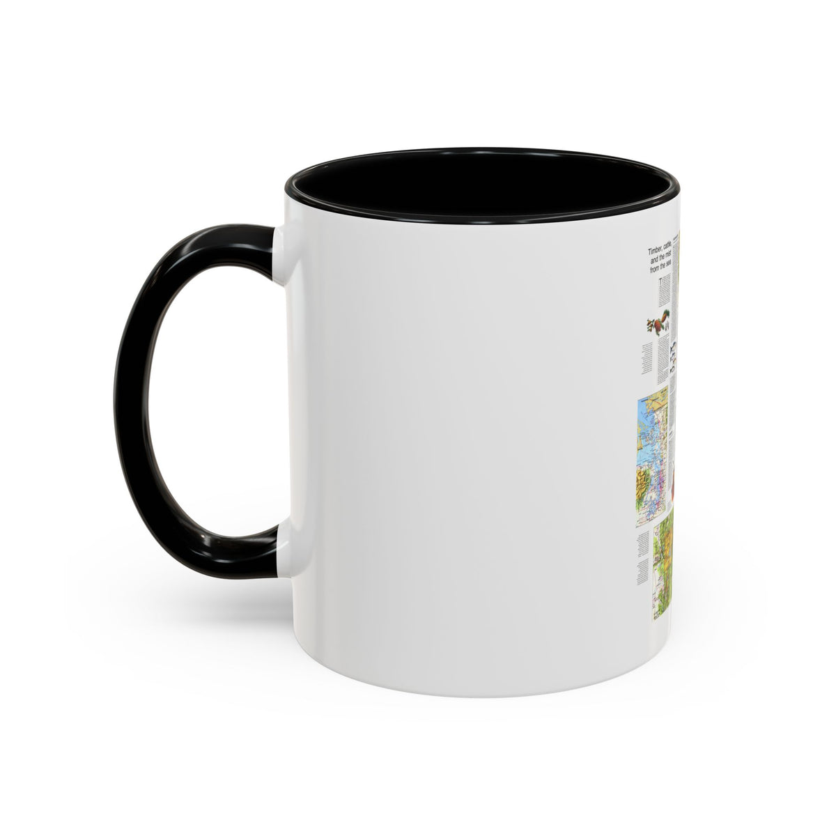 USA - Northwest 2 (1973) (Map) Accent Coffee Mug