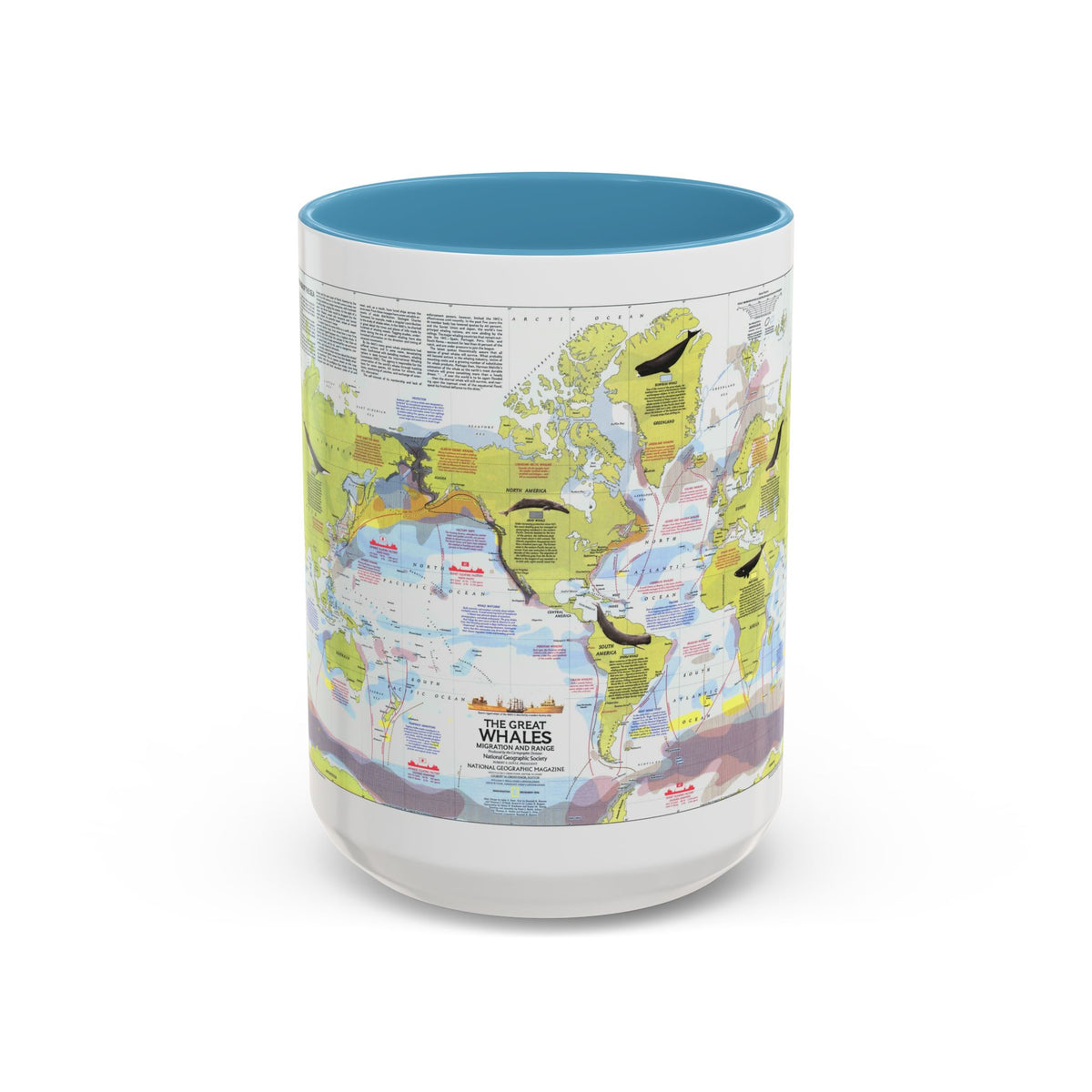 Great Whales, Migration and Range (1976) (Map) Accent Coffee Mug
