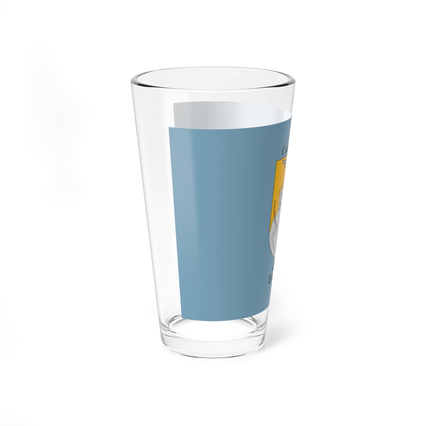 Flag of Csaszartoltes (Hungary) Pint Glass 16oz