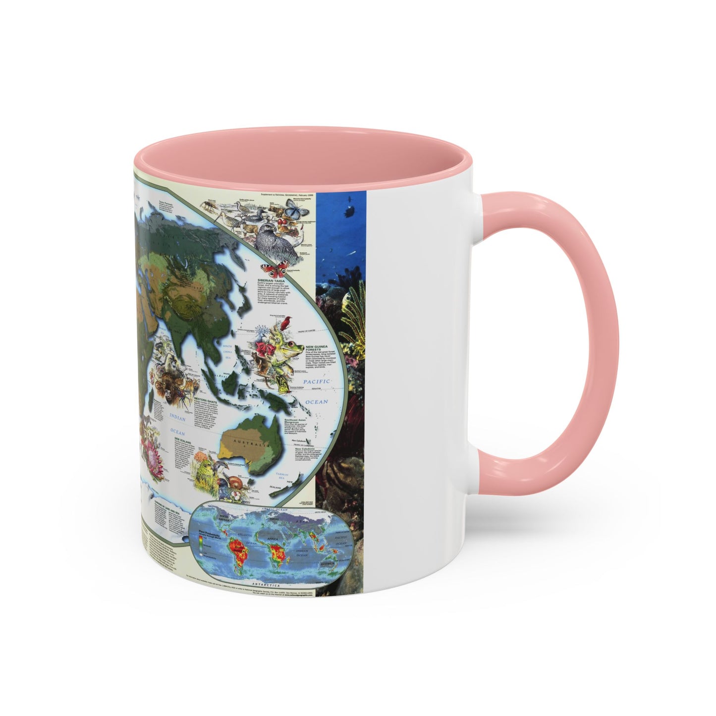 World Map - Diversity of Life (1999) (Map) Accent Coffee Mug