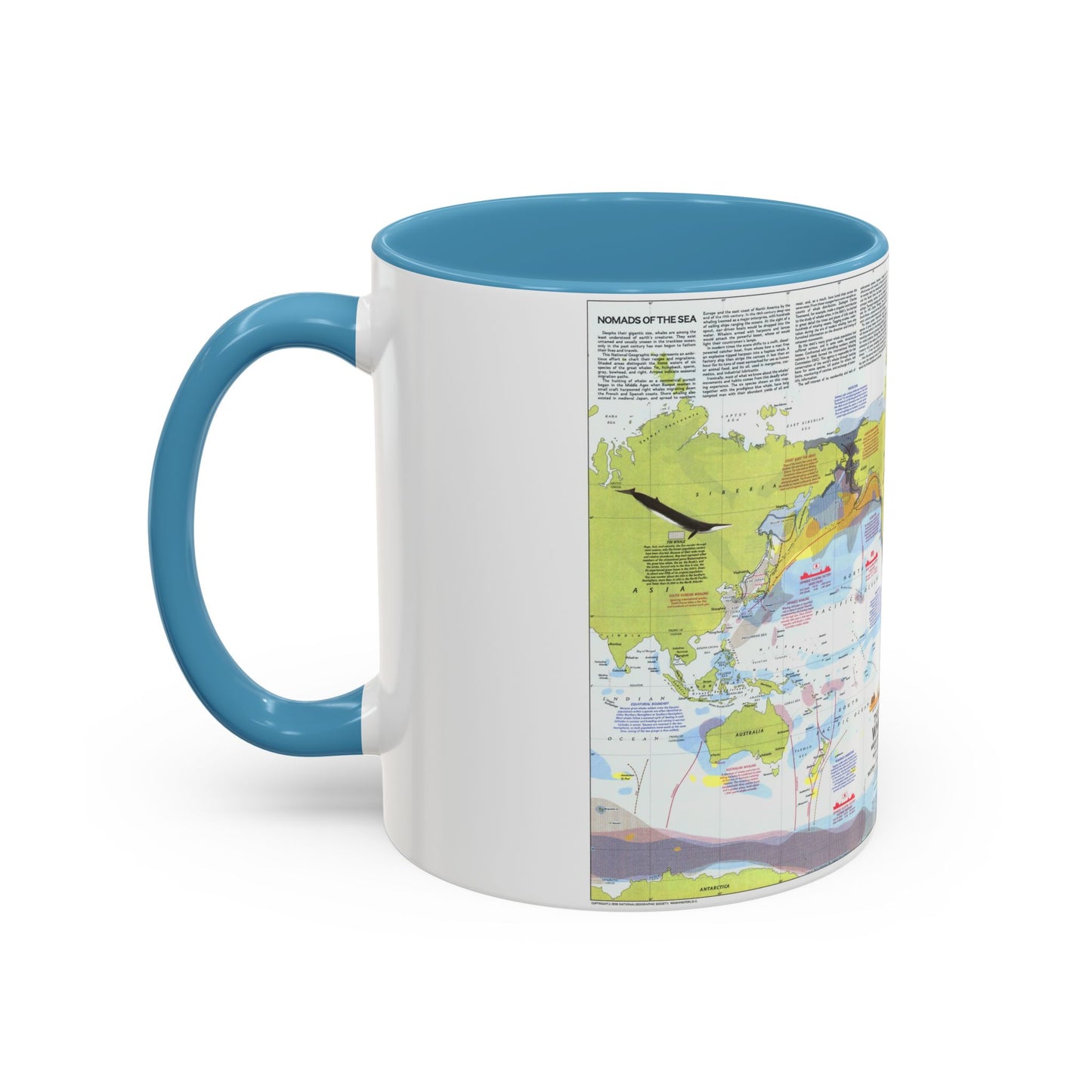 Great Whales, Migration and Range (1976) (Map) Accent Coffee Mug