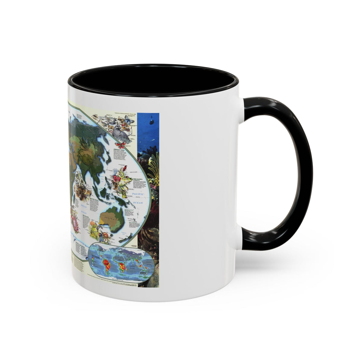 World Map - Diversity of Life (1999) (Map) Accent Coffee Mug