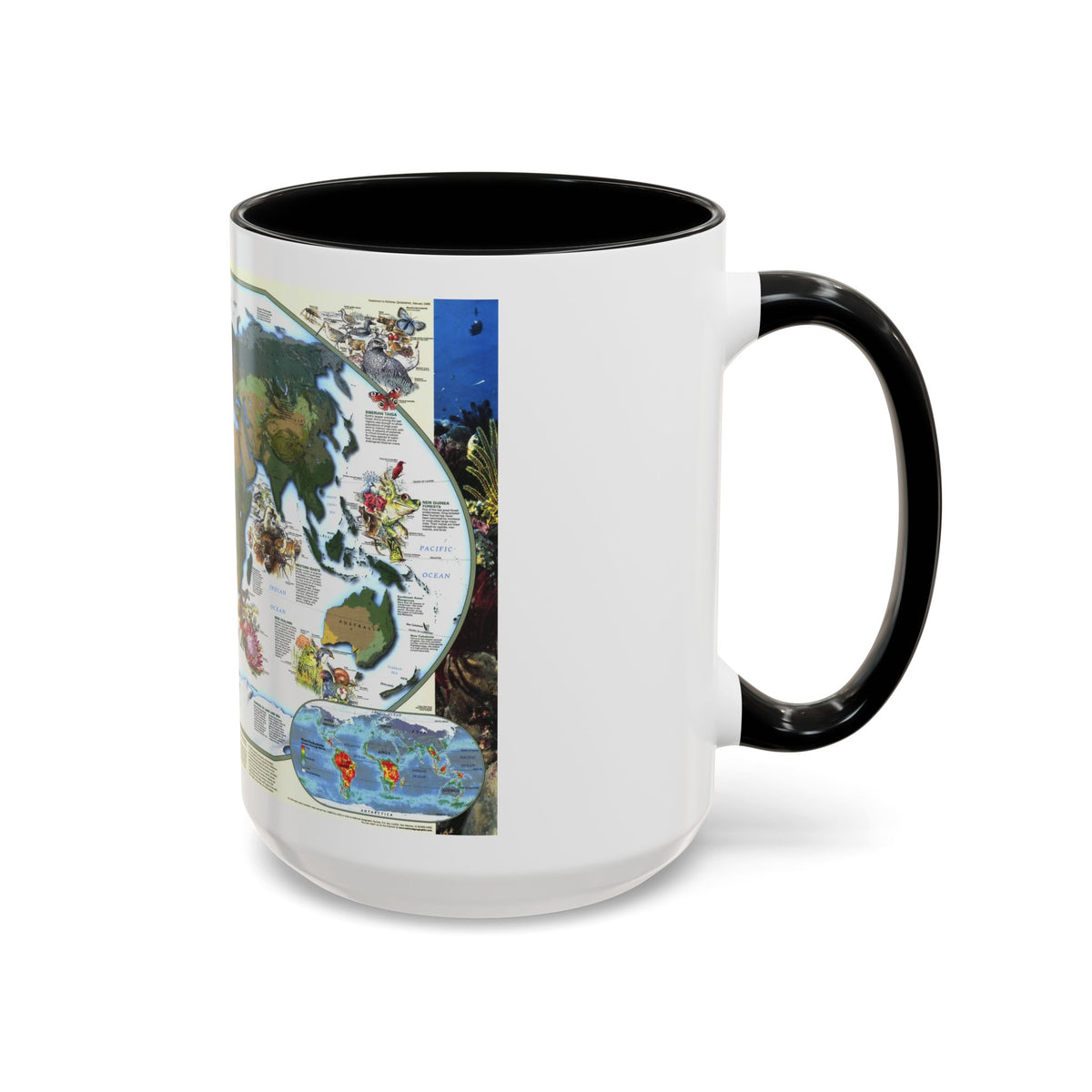 World Map - Diversity of Life (1999) (Map) Accent Coffee Mug
