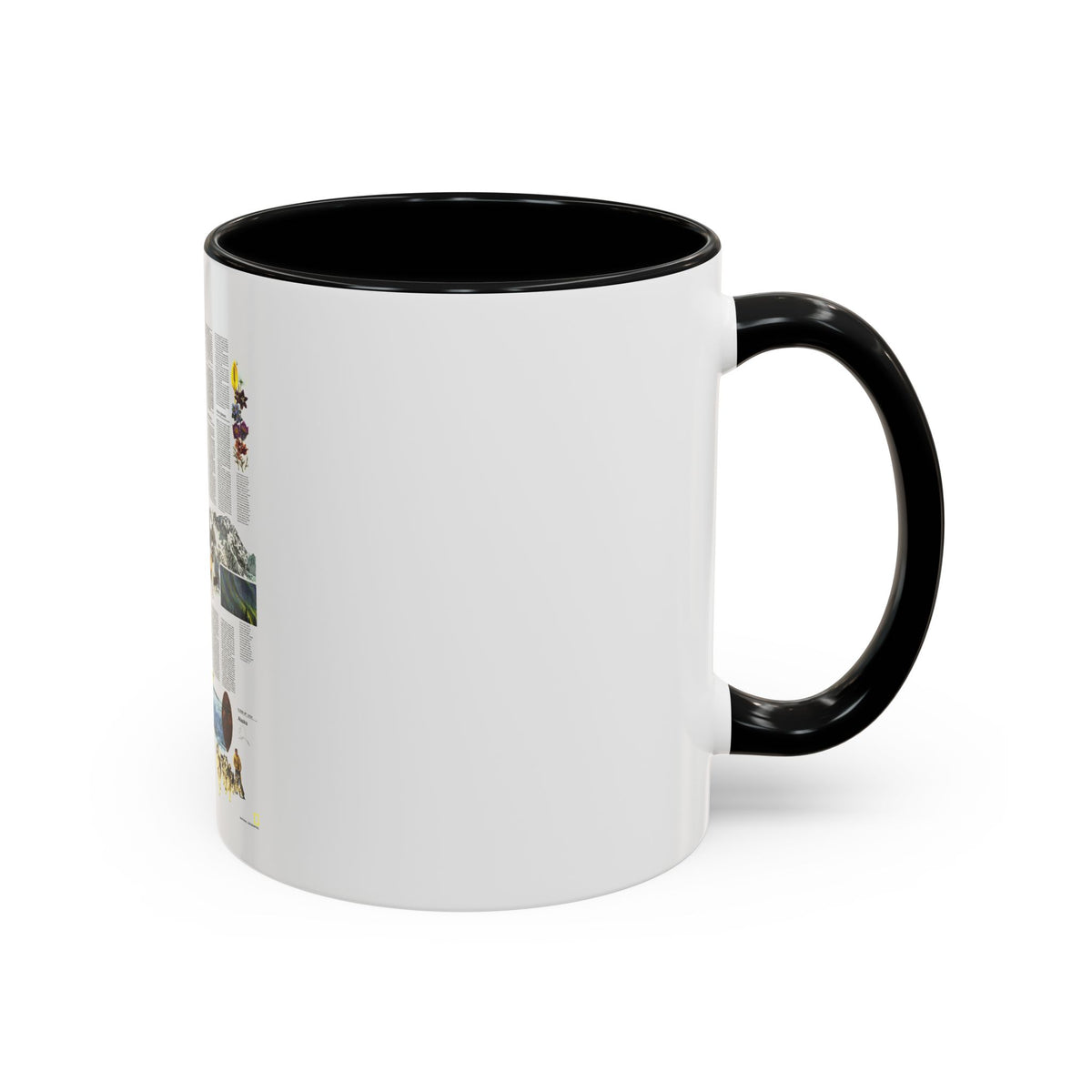 USA - Alaska, Beauty and Beasts (1975) (Map) Accent Coffee Mug