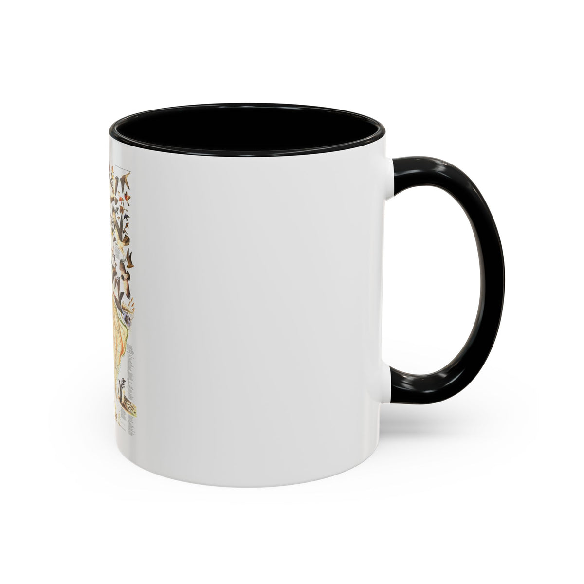 America - Bird Migration (1969) (Map) Accent Coffee Mug