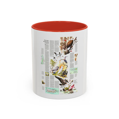 USA - Florida 2 (1973) (Map) Accent Coffee Mug