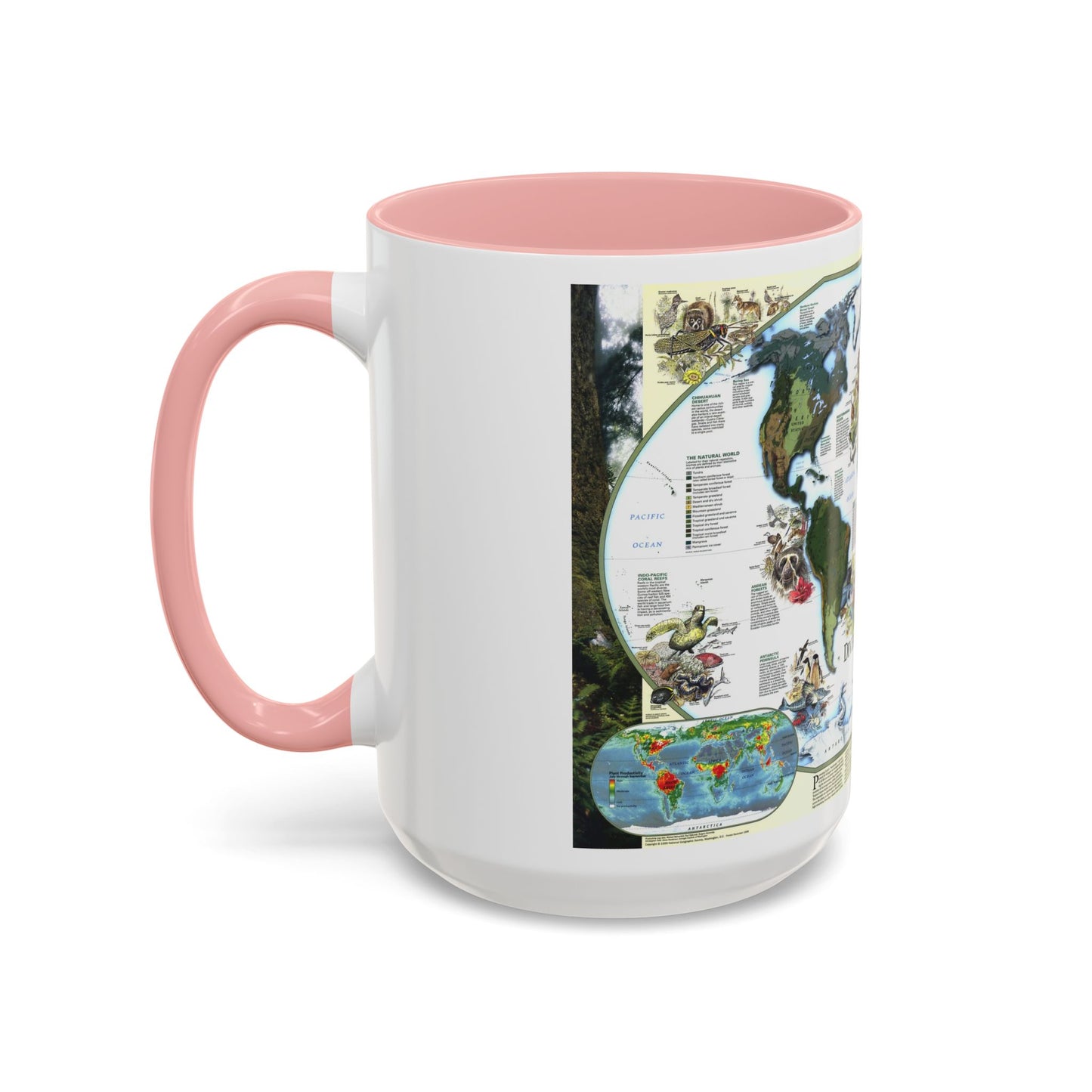 World Map - Diversity of Life (1999) (Map) Accent Coffee Mug