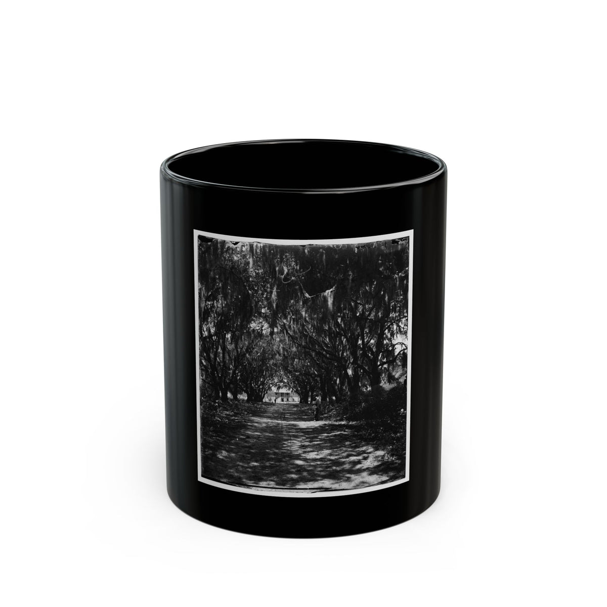 Beaufort, Port Royal Island, South Carolina. Live Oak Avenue Robert B. Rhett's Plantation (U.S. Civil War) Black Coffee Mug