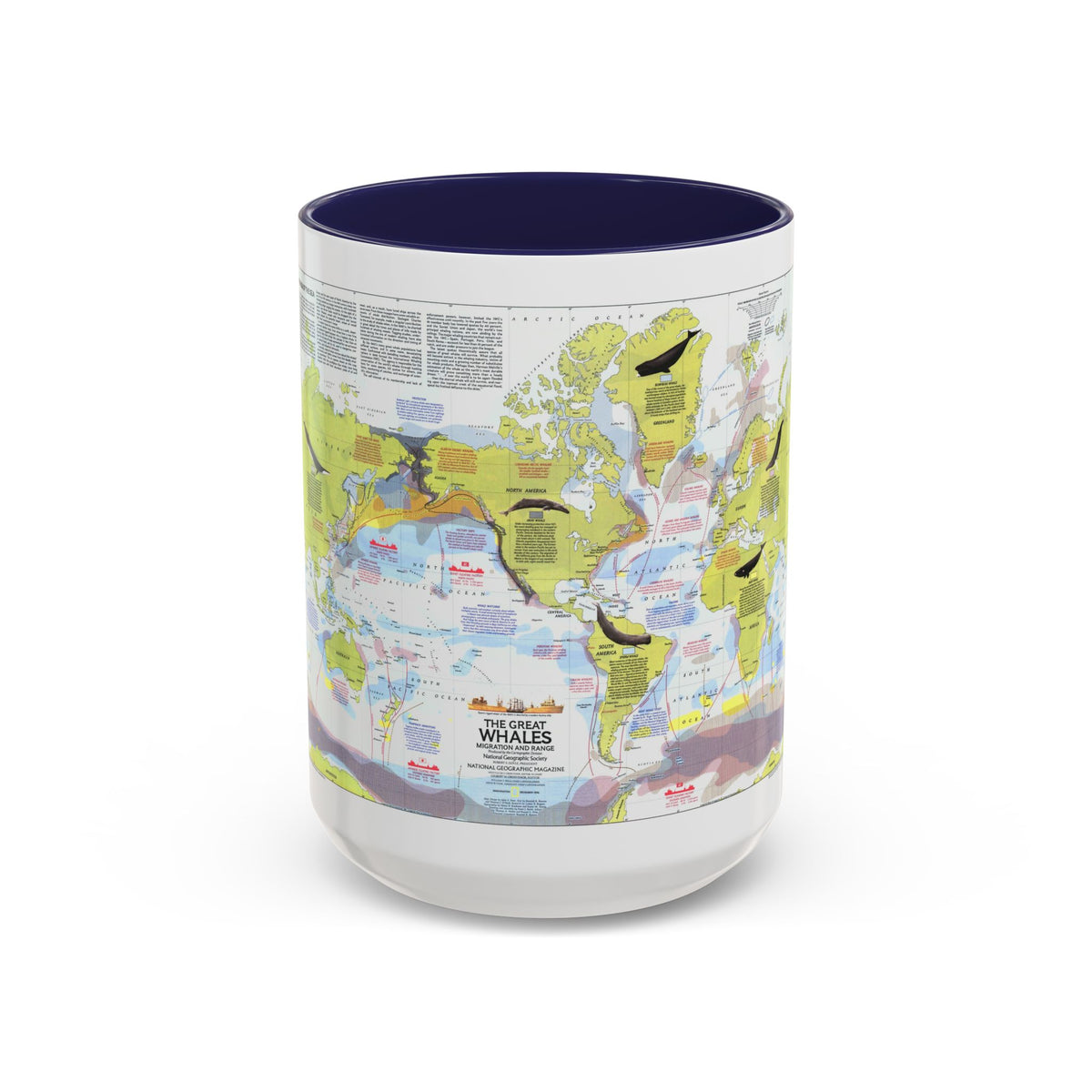 Great Whales, Migration and Range (1976) (Map) Accent Coffee Mug