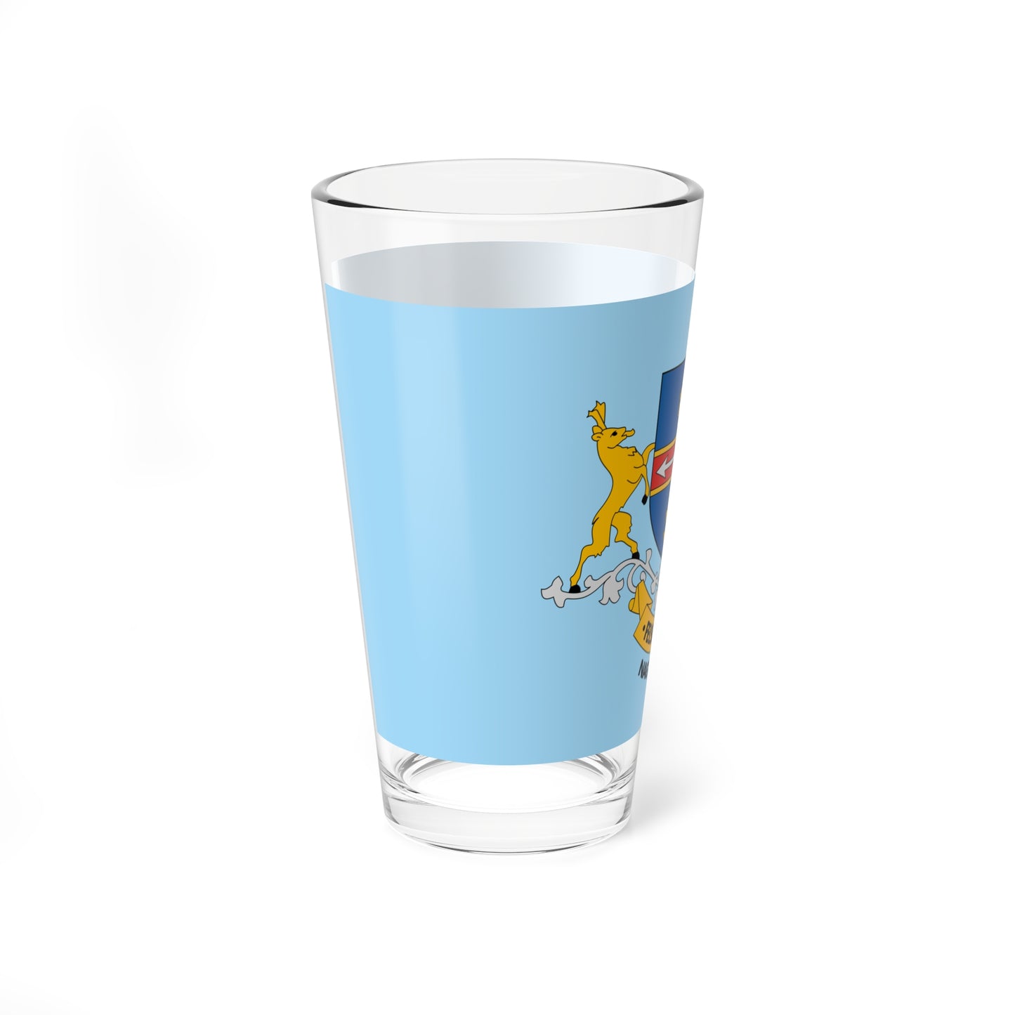 Flag of Felsopakony variant (Hungary) Pint Glass 16oz