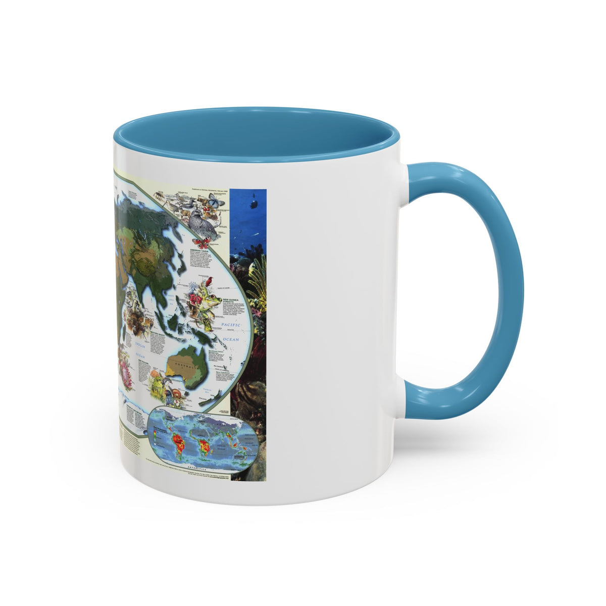 World Map - Diversity of Life (1999) (Map) Accent Coffee Mug