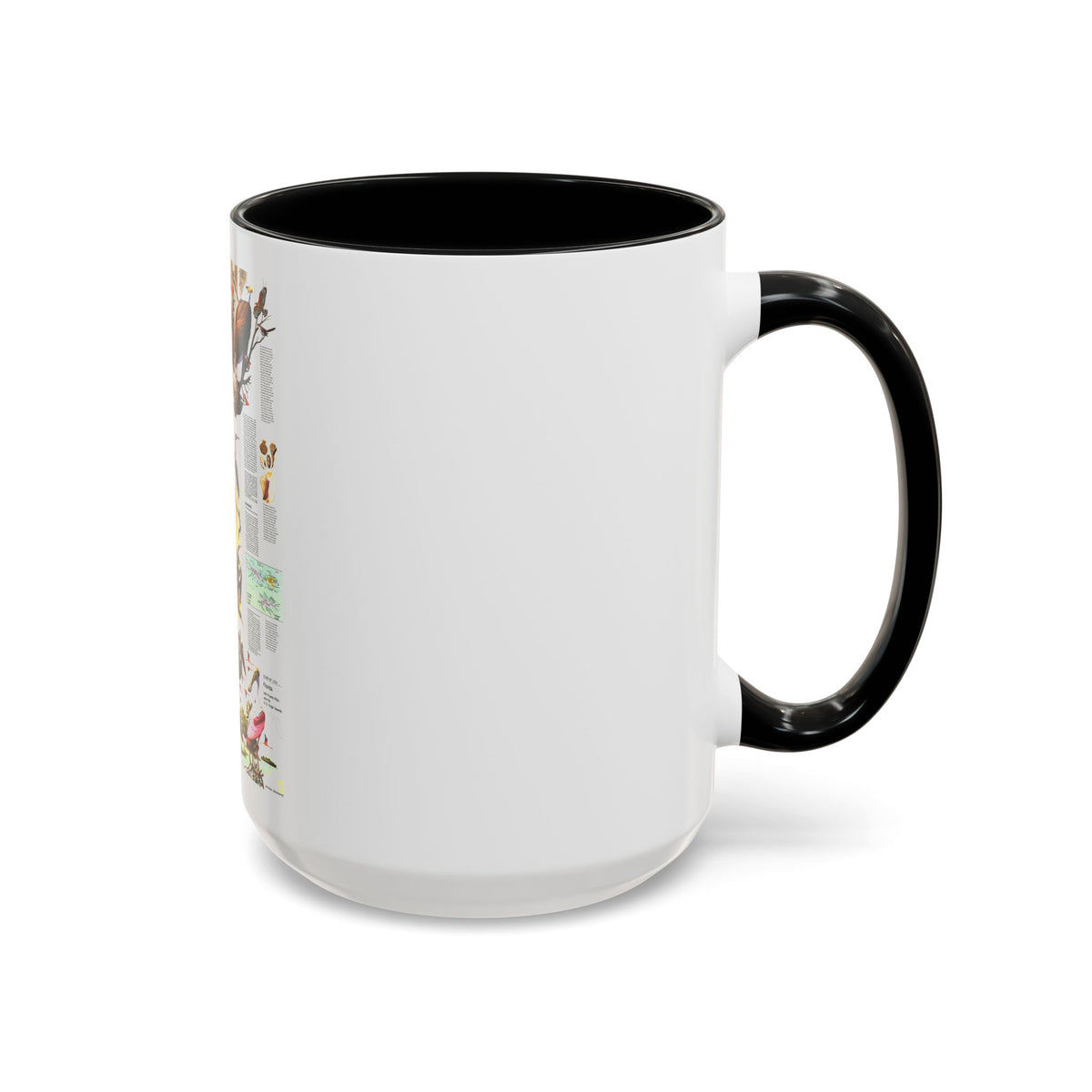 USA - Florida 2 (1973) (Map) Accent Coffee Mug