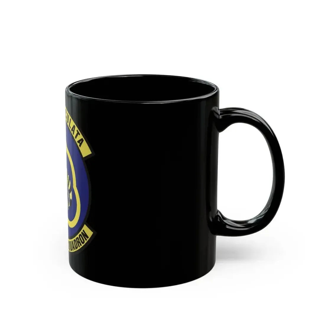 43d Fighter Squadron (U.S. Air Force) Black Coffee Mug - Go Mug Yourself
