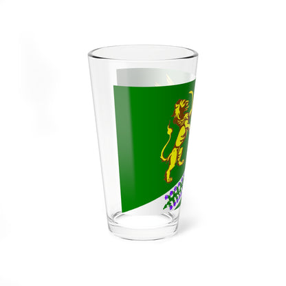 Flag Jukki Leningrad oblast (Russia) Pint Glass 16oz