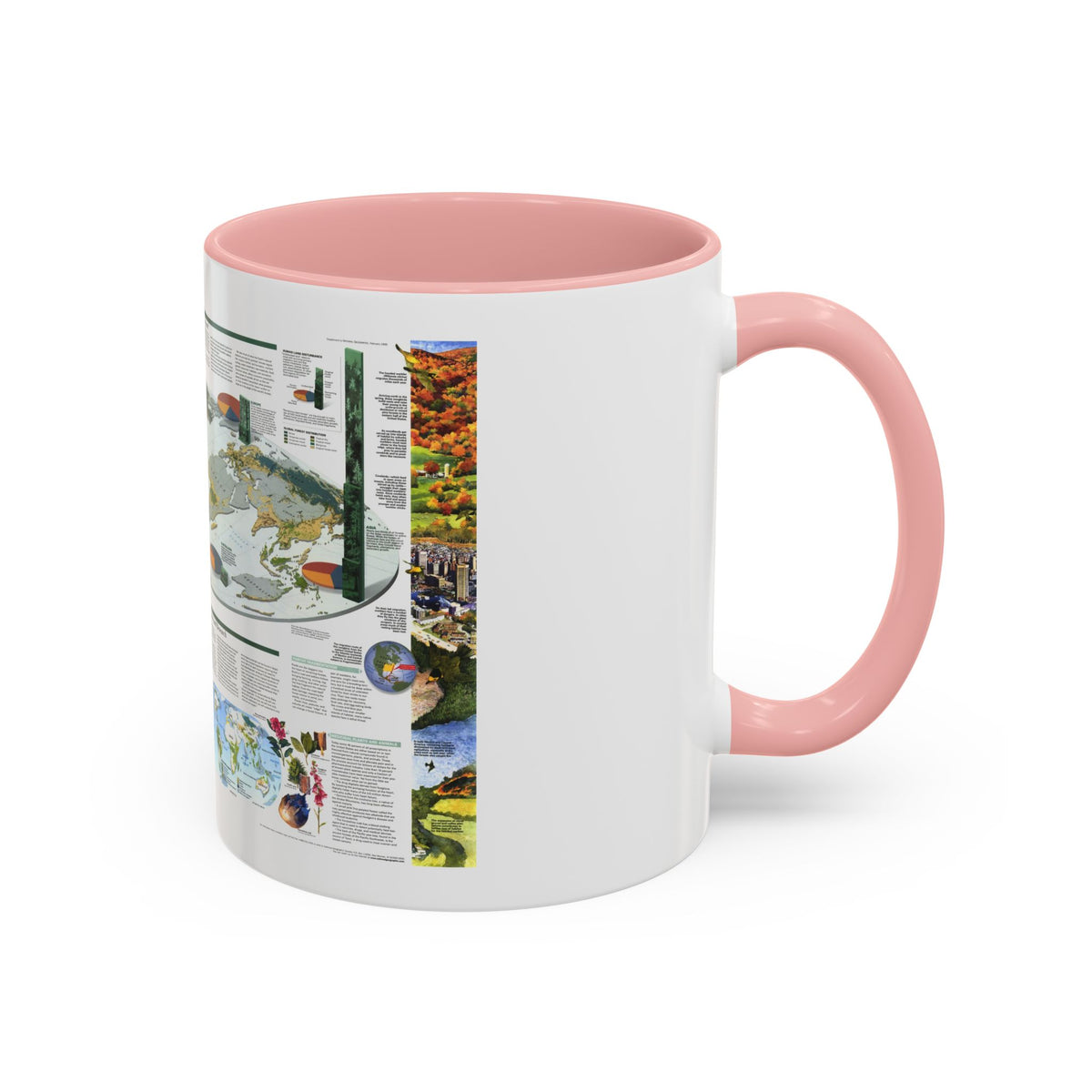 World Map - Biodiversity (1999) (Map) Accent Coffee Mug