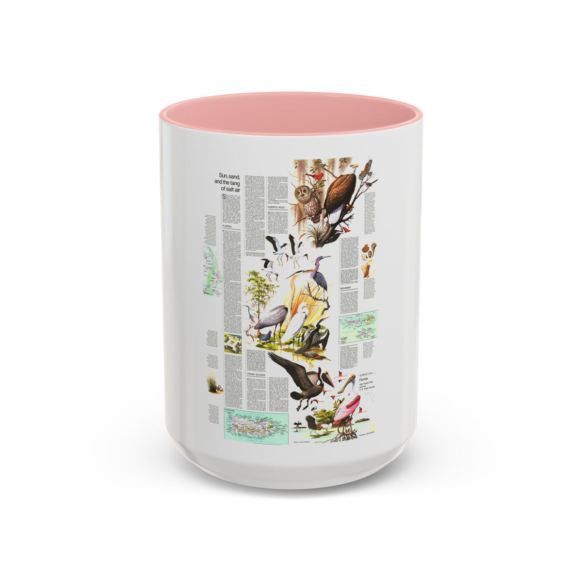 USA - Florida 2 (1973) (Map) Accent Coffee Mug