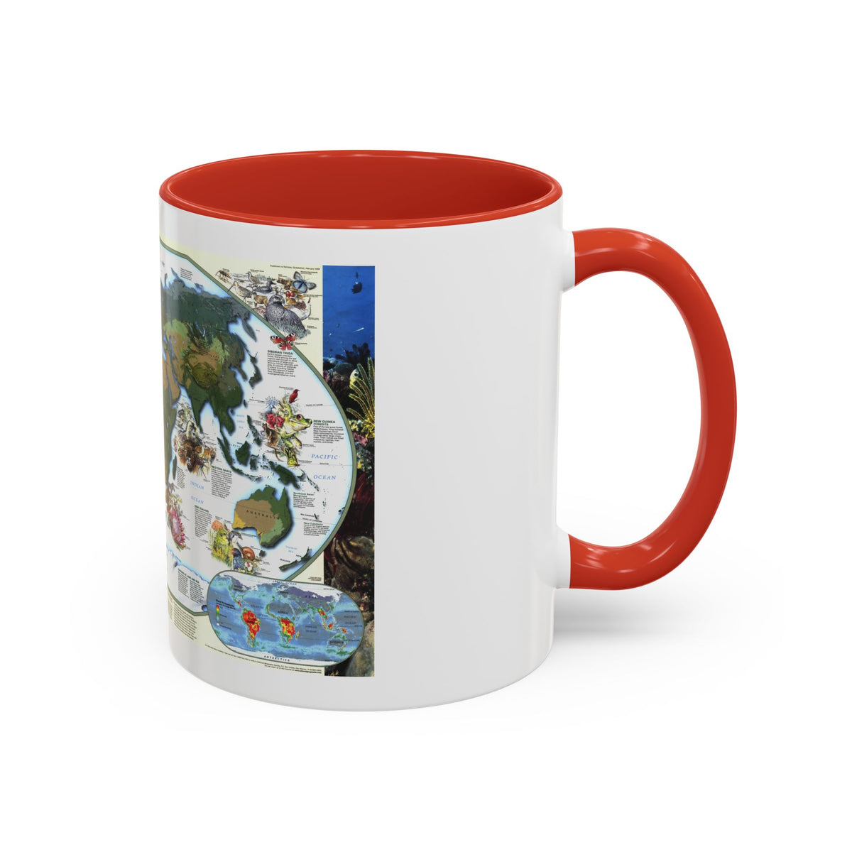 World Map - Diversity of Life (1999) (Map) Accent Coffee Mug