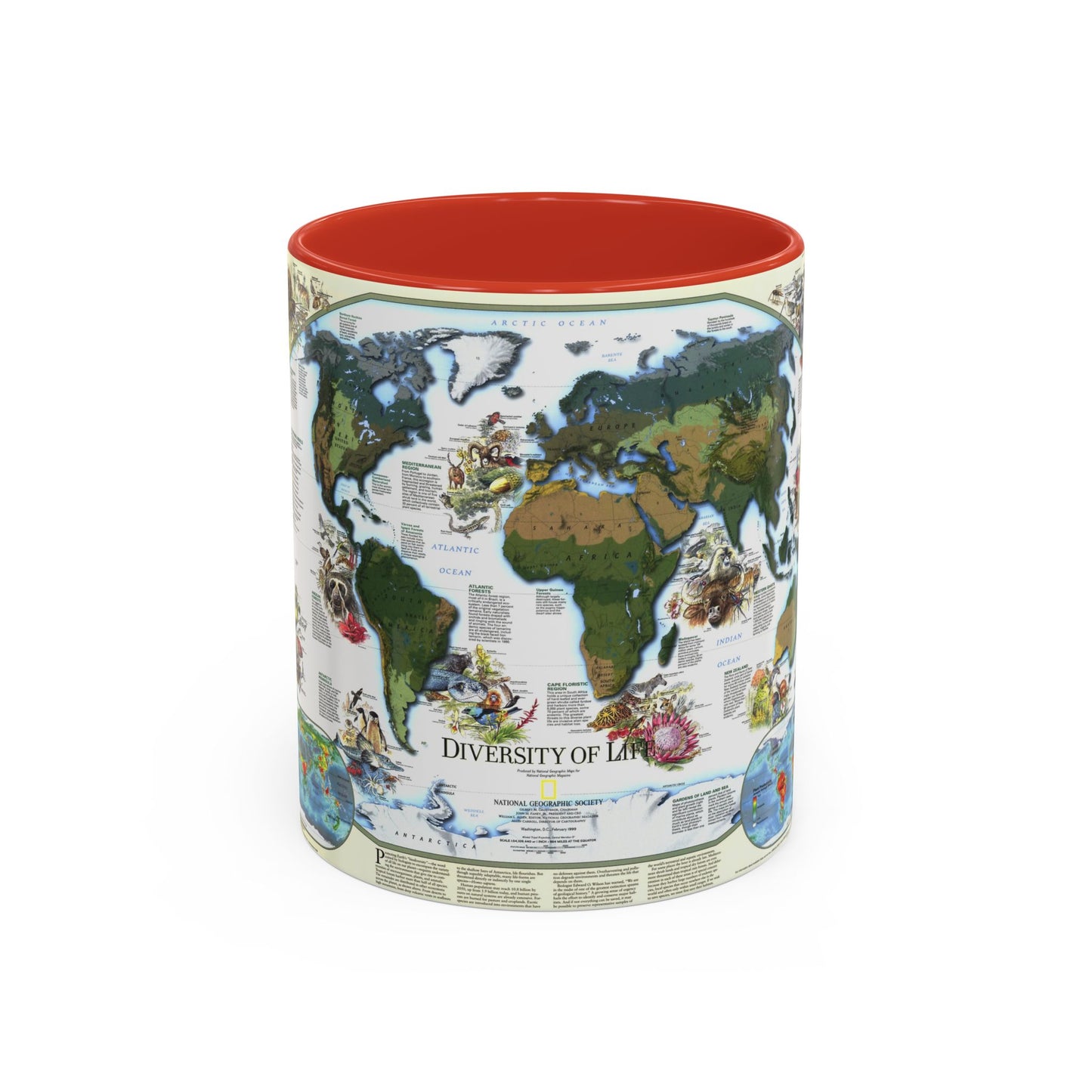 World Map - Diversity of Life (1999) (Map) Accent Coffee Mug