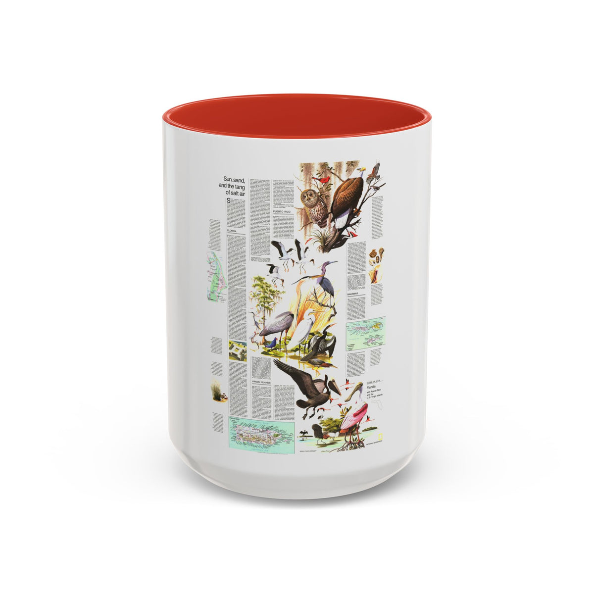 USA - Florida 2 (1973) (Map) Accent Coffee Mug